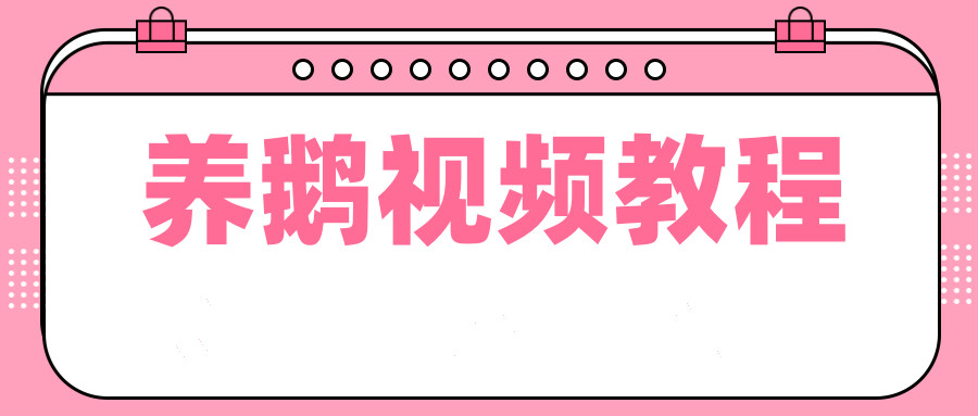 养鹅技术养殖增收有新招科学养鹅教程